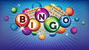 Bingo Bingo